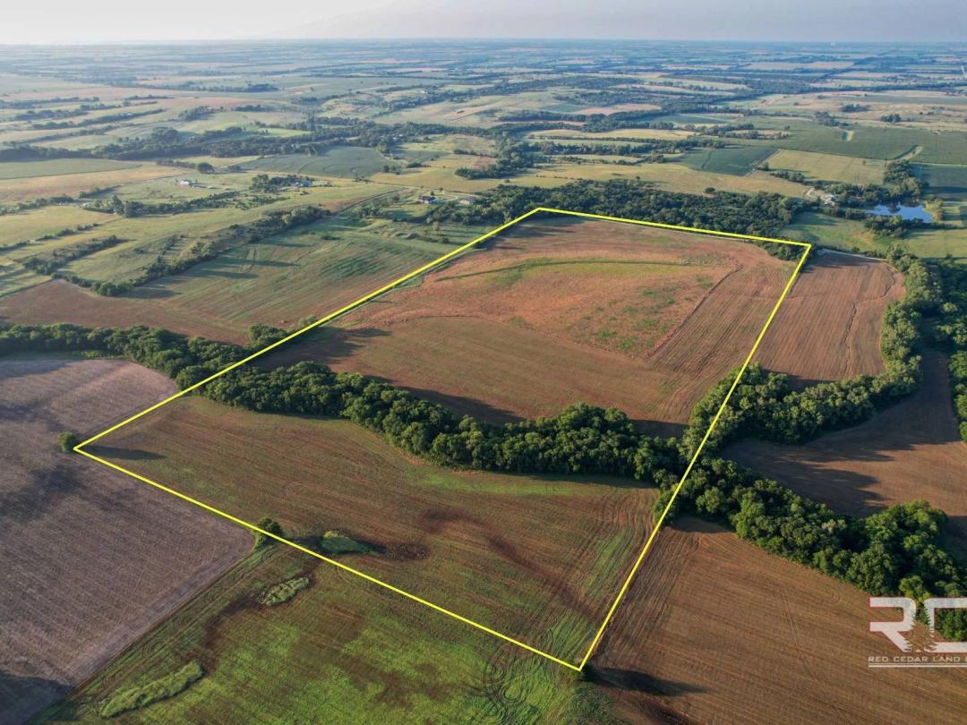 Online Auction 79.36+/- Acres of Farmland &amp; Hunting in Marion Co