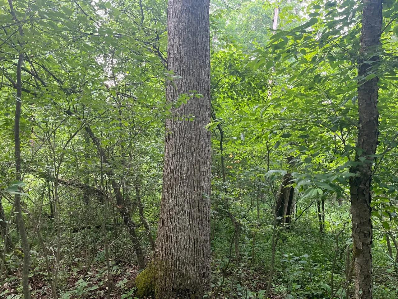 26878853-22