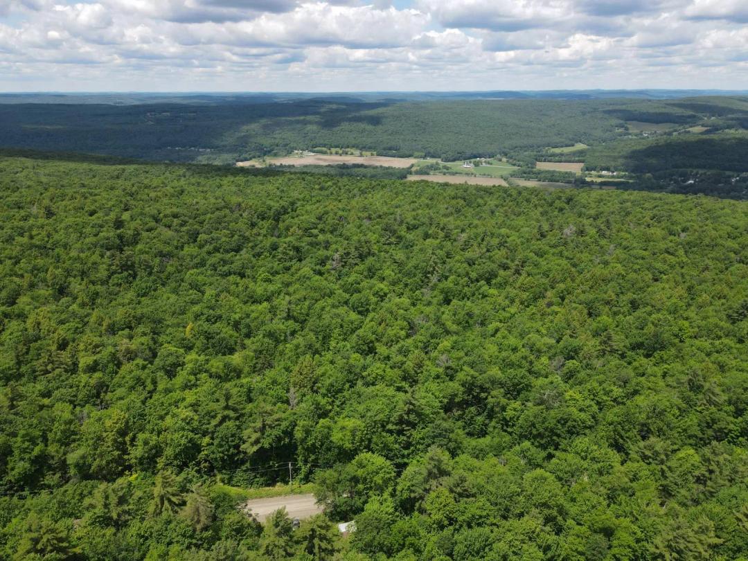 27.06 Acres of Privacy &amp; Potential