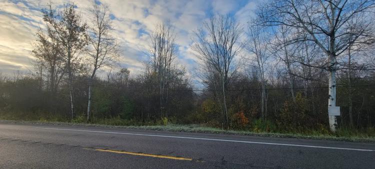 15 acre Building Lot on State Route 13 Richland NY