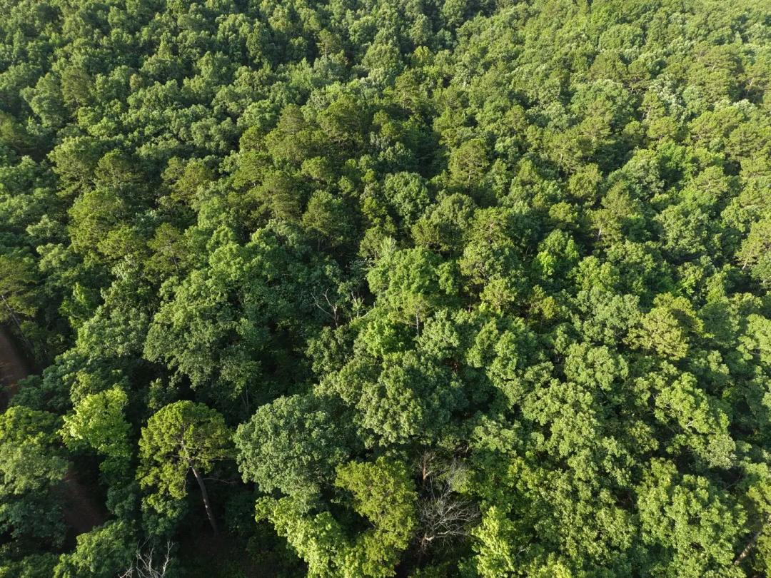3.02 Acres in Polk County, AR