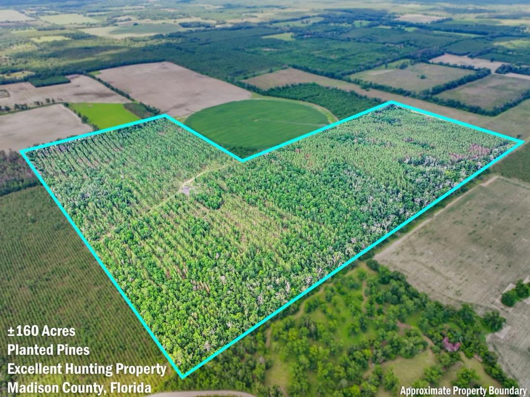 140 Acres Dusty Miller Ave Madison, FL