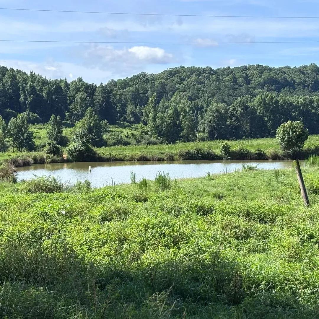 Bayne Farm 97+/- acres