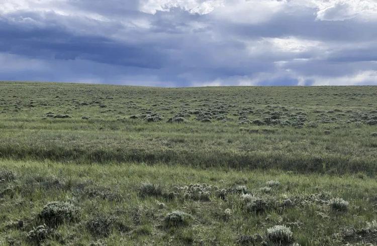 3 lots for a total of 109.29 Acres!