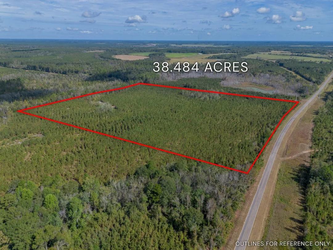 Tract 2 – 38.484 Acres in Telfair County, GA