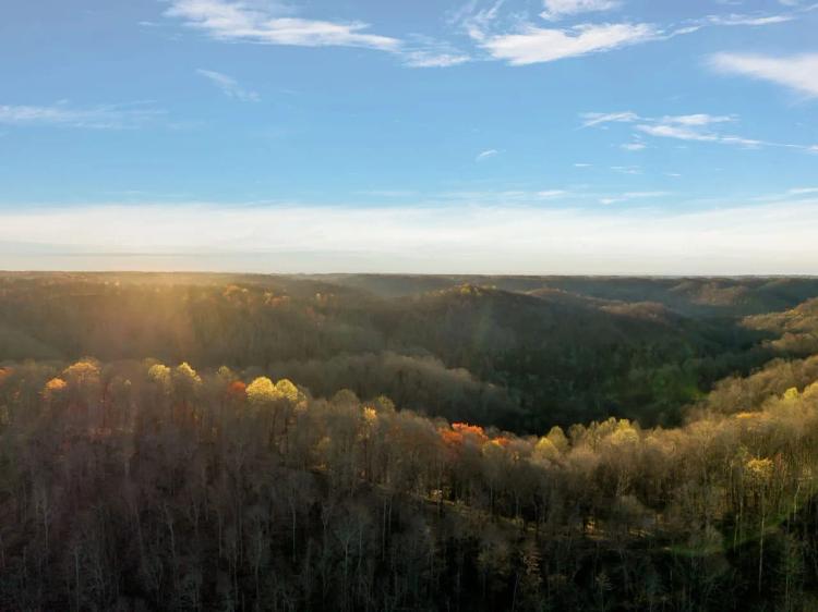 213.68 acres of excellent hunting and recreational property located in Jackson County, Tennessee