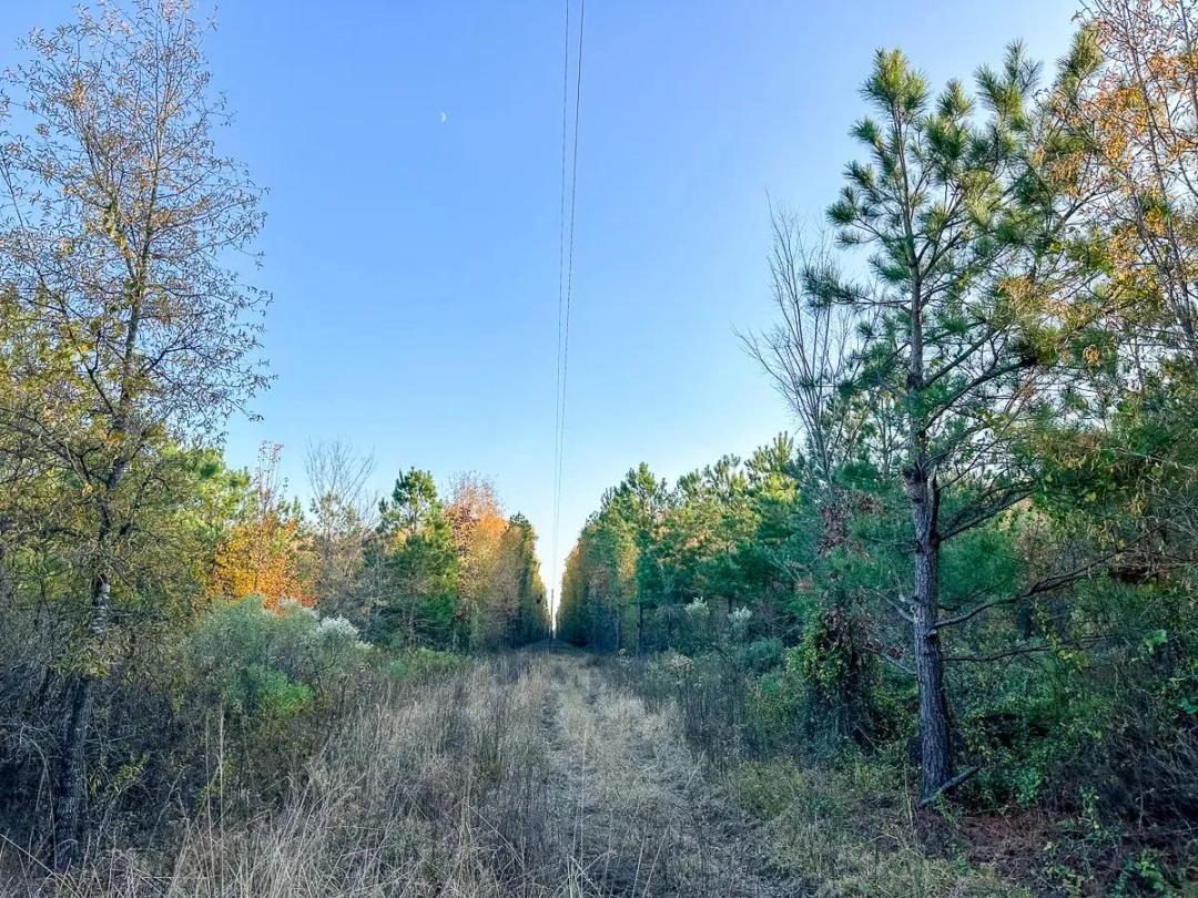 210 Acres | Maya 1004 – Tract 12