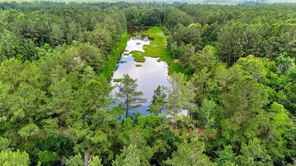 173 Acres of Land for Sale in Kirbyville, TX