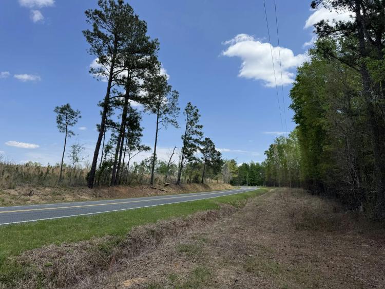 84 acres in Rembert