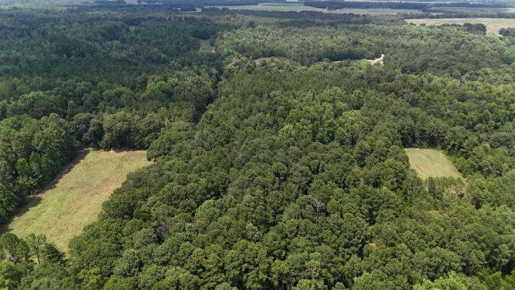 603 Acres with a Lodge in Sumter County, GA 