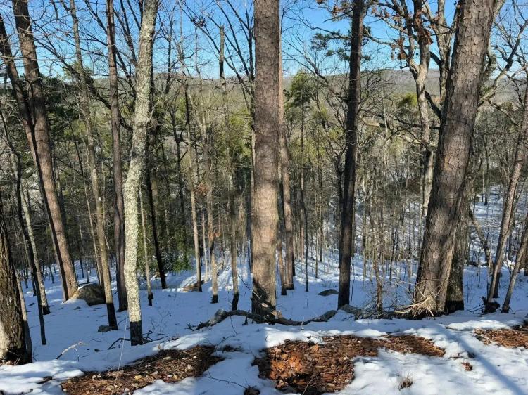 66+/- Acres on Park Avenue / Hot Springs, Arkansas