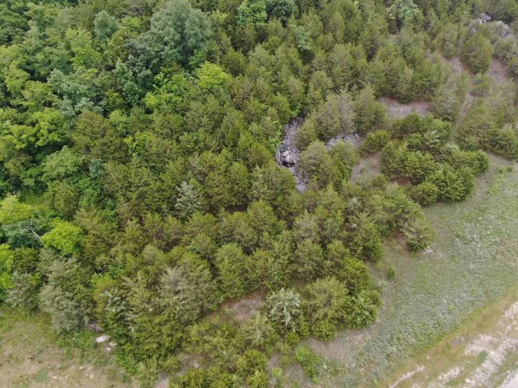 Prime Land Auction: Lot on US Highway 25E Grainger County TN