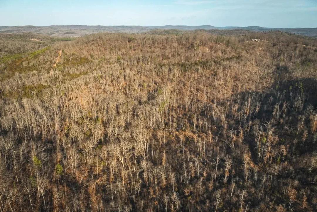 Angeline Acres at Eminence Tract 3