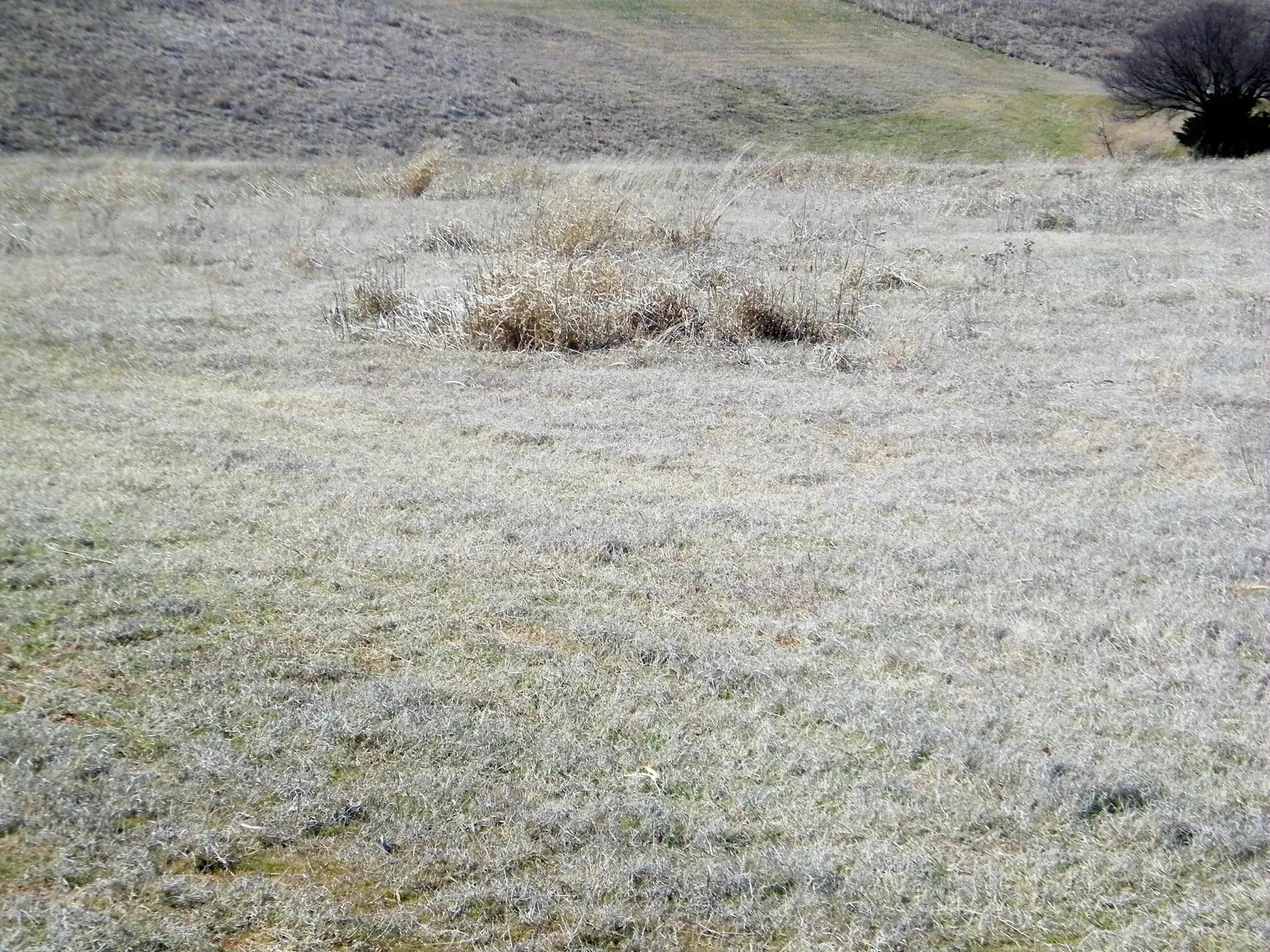 27175127-10