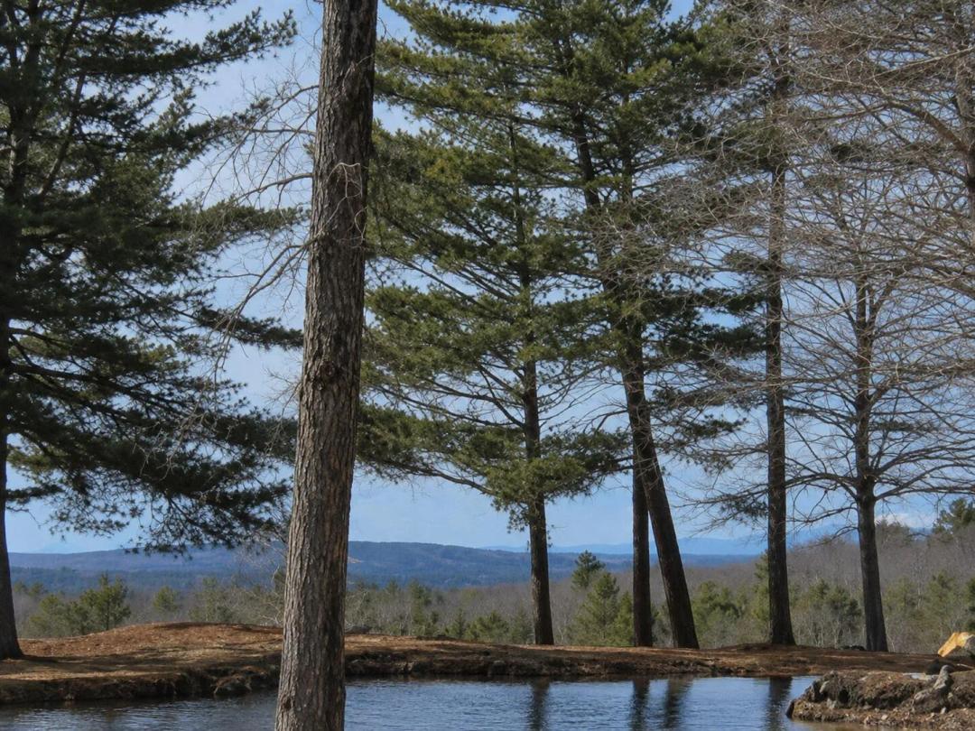 12.11 Acres at 437 Hatch Road