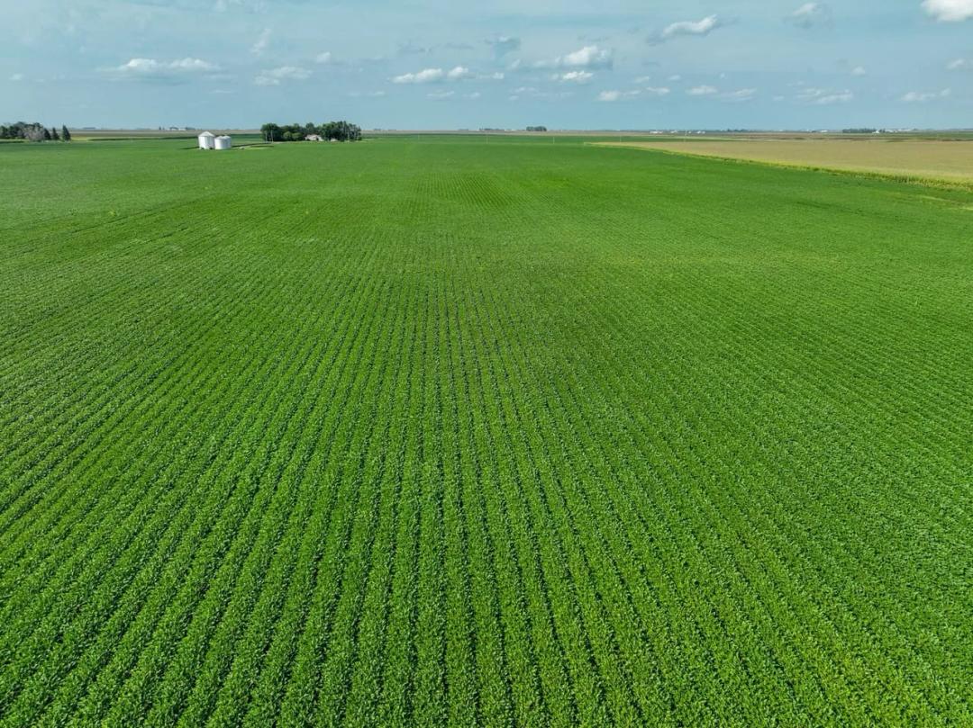 Listing #19780 - 40.00 acres in Wright County, IA