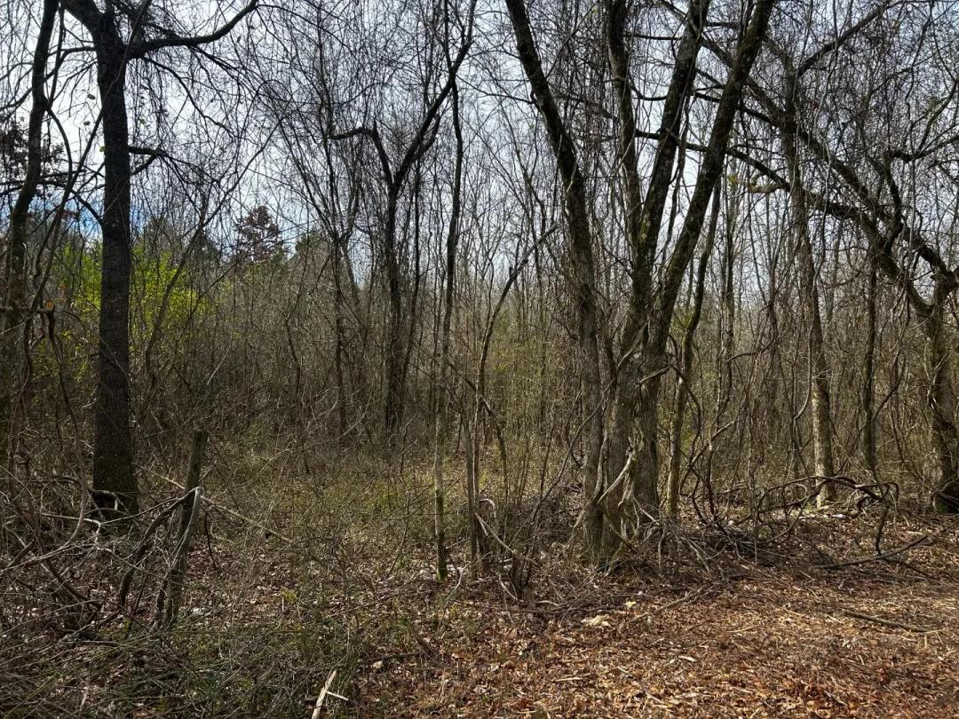 7.50 Acres [Tract 10] in Montgomery County, AR 