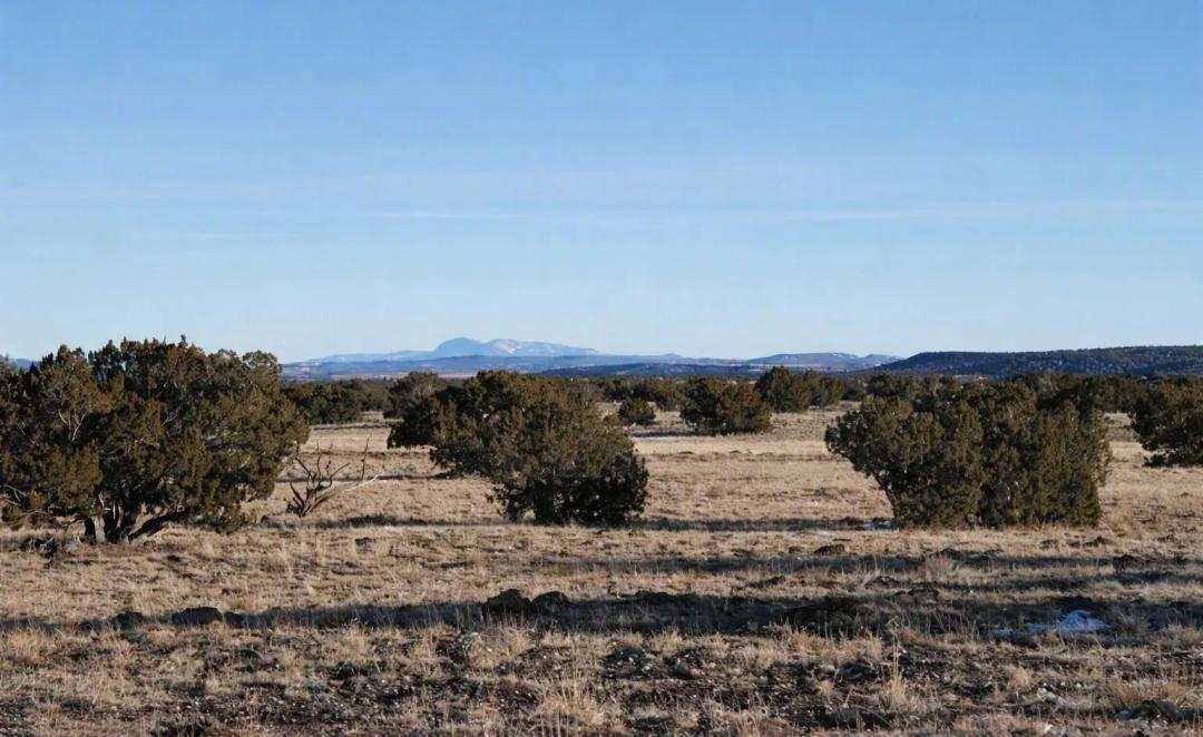 Build Your Vision with Power Nearby 40 Acres, Apache, Arizona 107-42-015