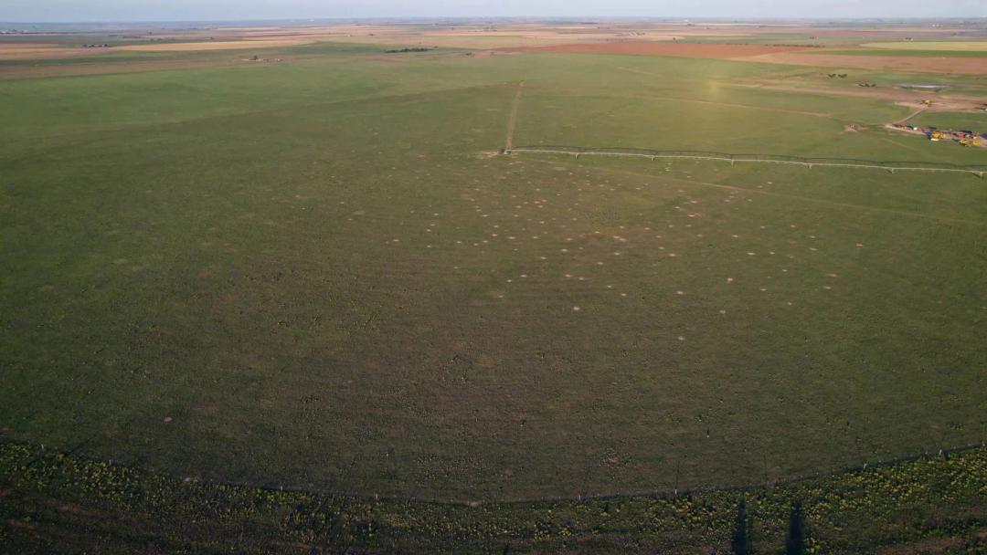 Texas Farm/Ranch Property Country Home in Parmer County