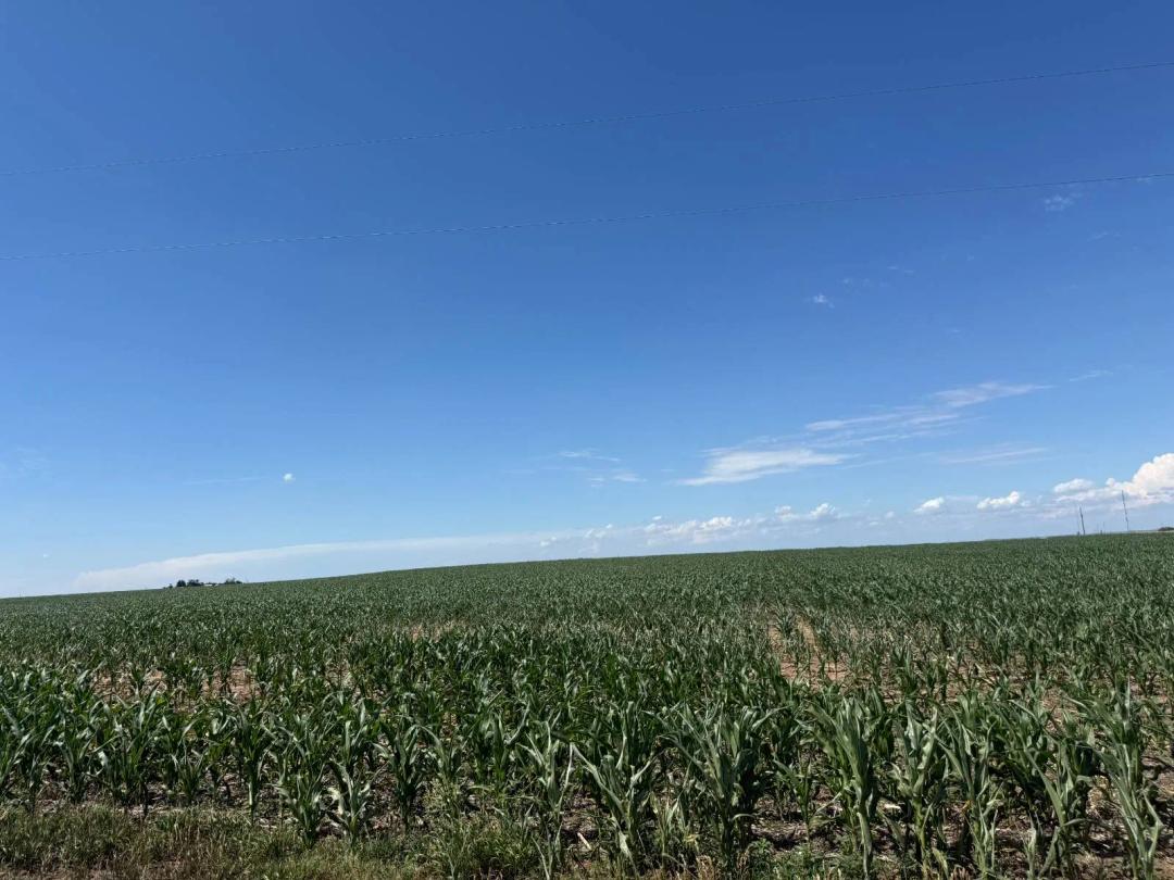 QUALITY DRYLAND FARM located just minutes south of Ogallala.