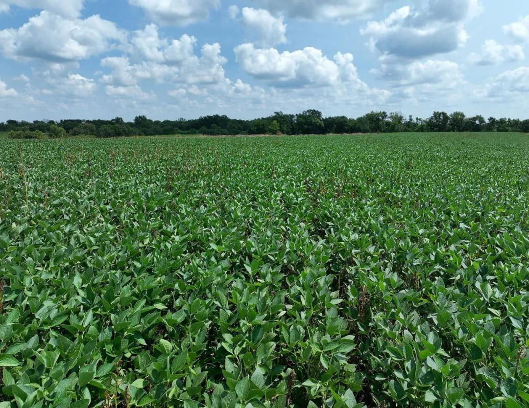 Listing #19668 - 79.00 acres in Lucas County, IA