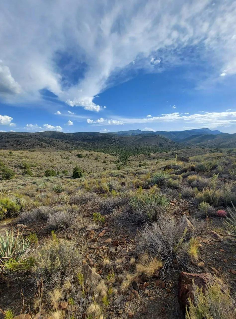 Arizona Mountain Land - 10 miles west of the Grand Canyon - 35 acres