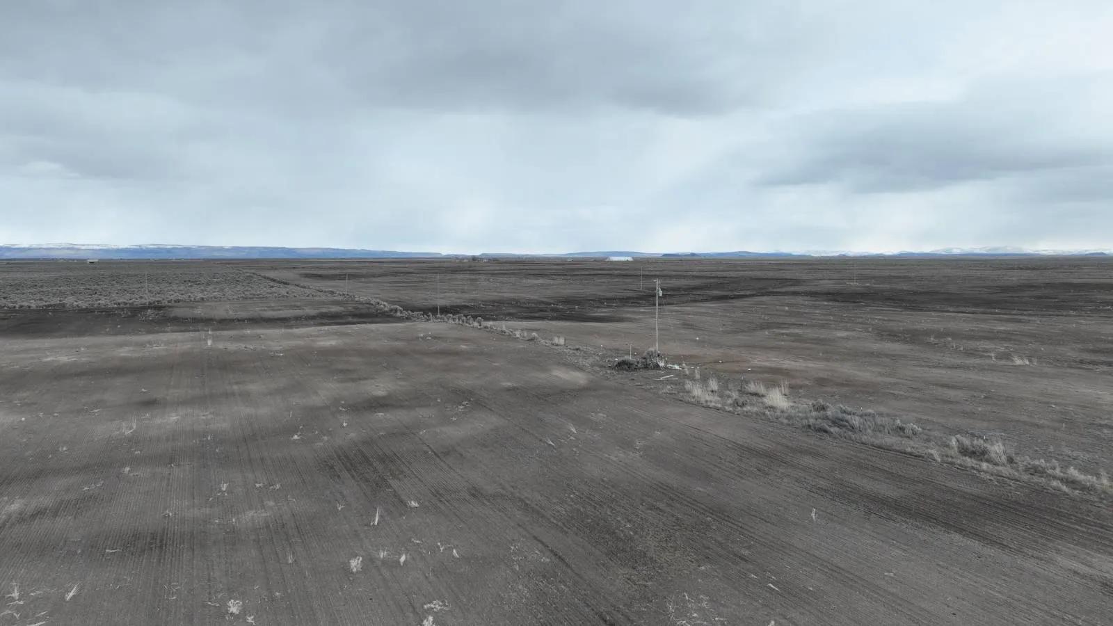 27446876-2