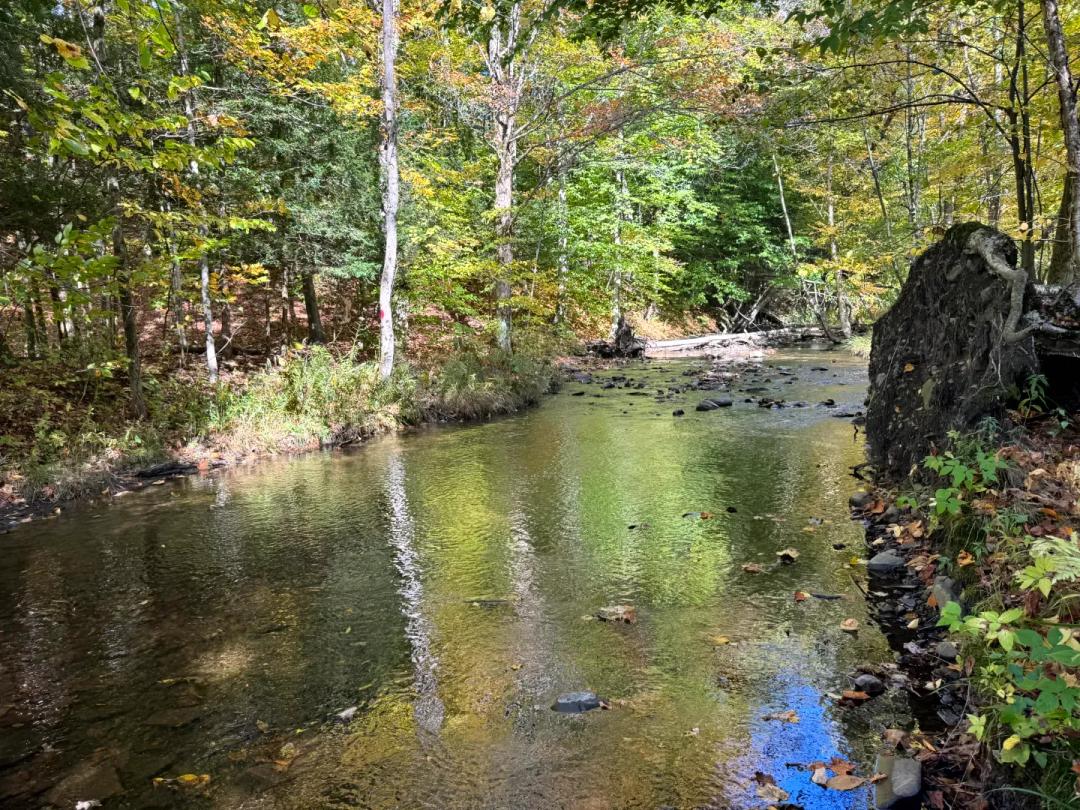 Country Building Site on Trout Brook