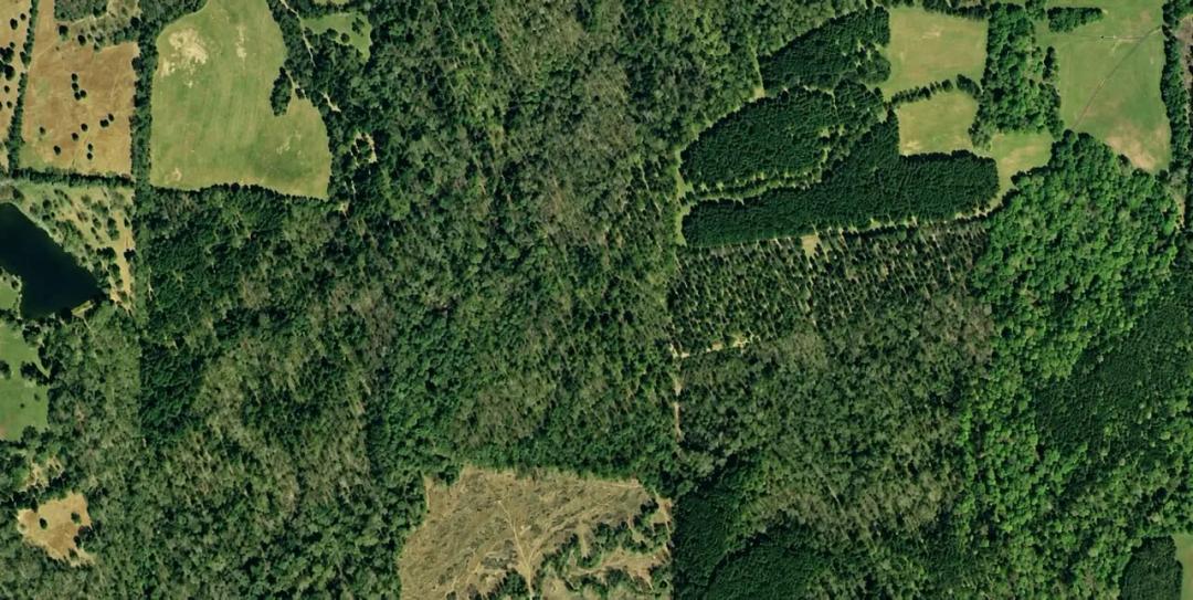 10+/- Acres | Country Homesite, Timber & Recreation | Arkadelphia, Arkansas