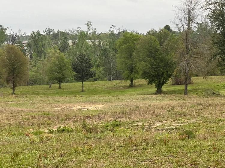 23.87 ± Acre Development Land – Marianna, FL