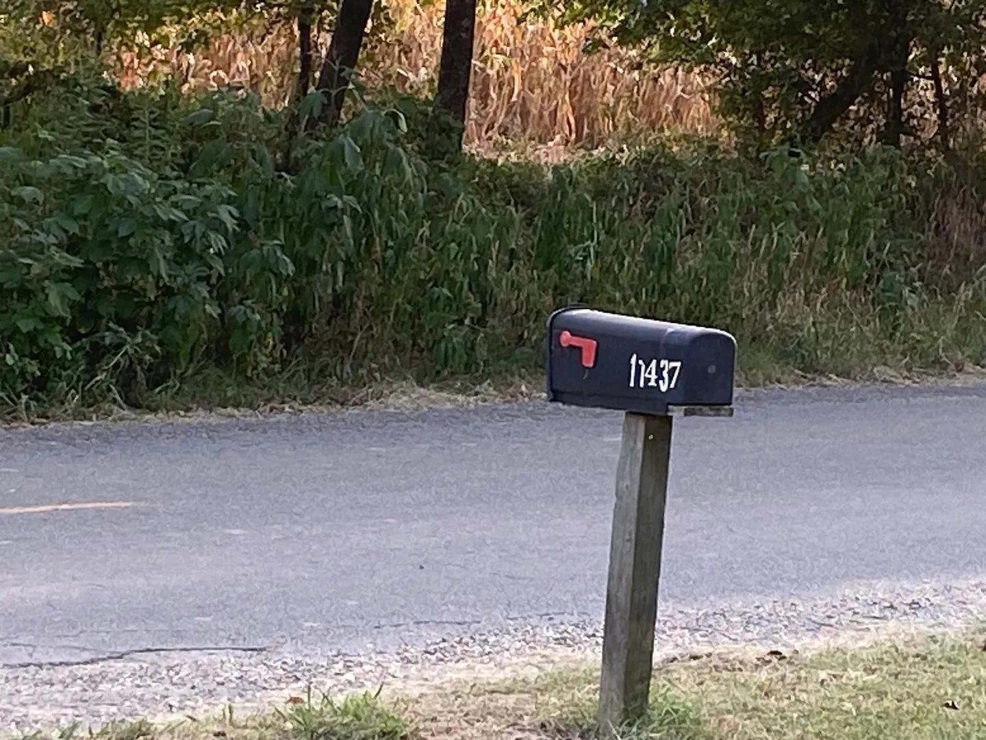 27515637-4