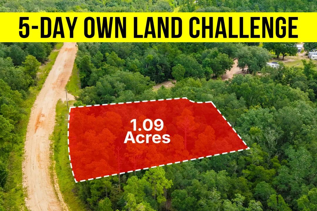 Own a 1.09-Acre No HOA Lot in FL, Corner Lot - Owner Financing
