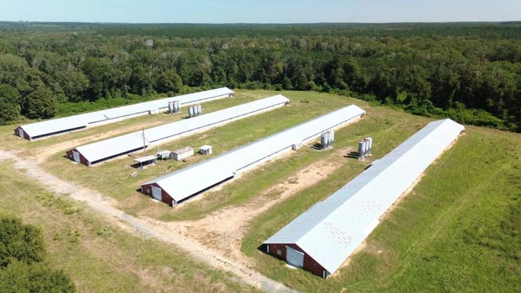 Zoar Road Broiler Farm – Jackson Parrish, Louisiana