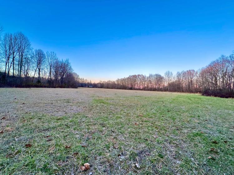 17.17 Acres in Hardeman County, TN 
