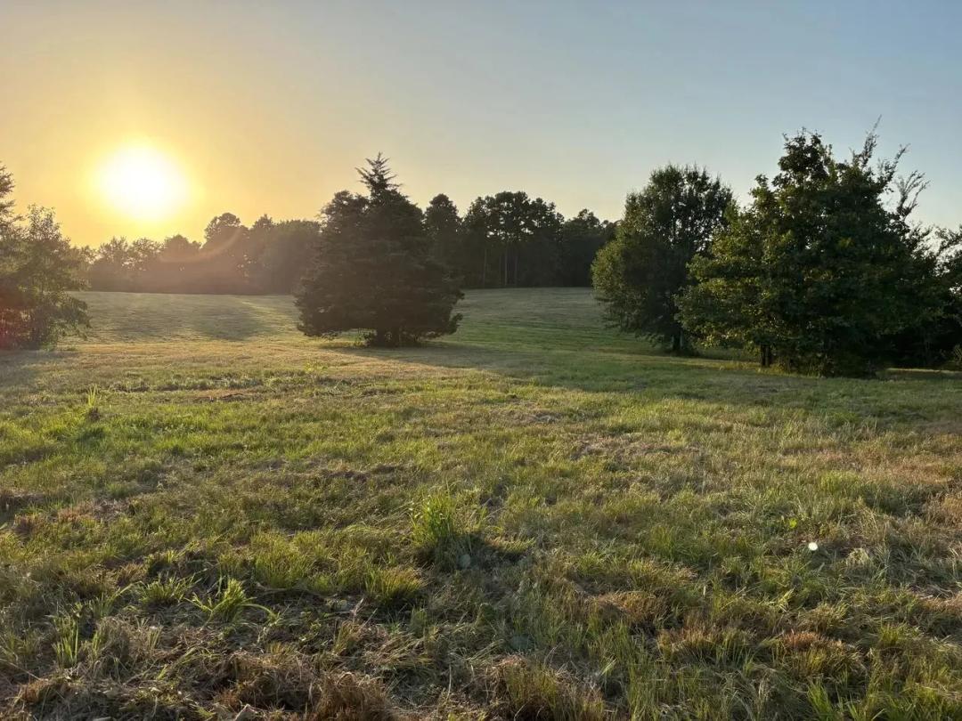 40 Acres with 2 Ponds | Build, Hunt & Ranch Near Pine Creek Lake