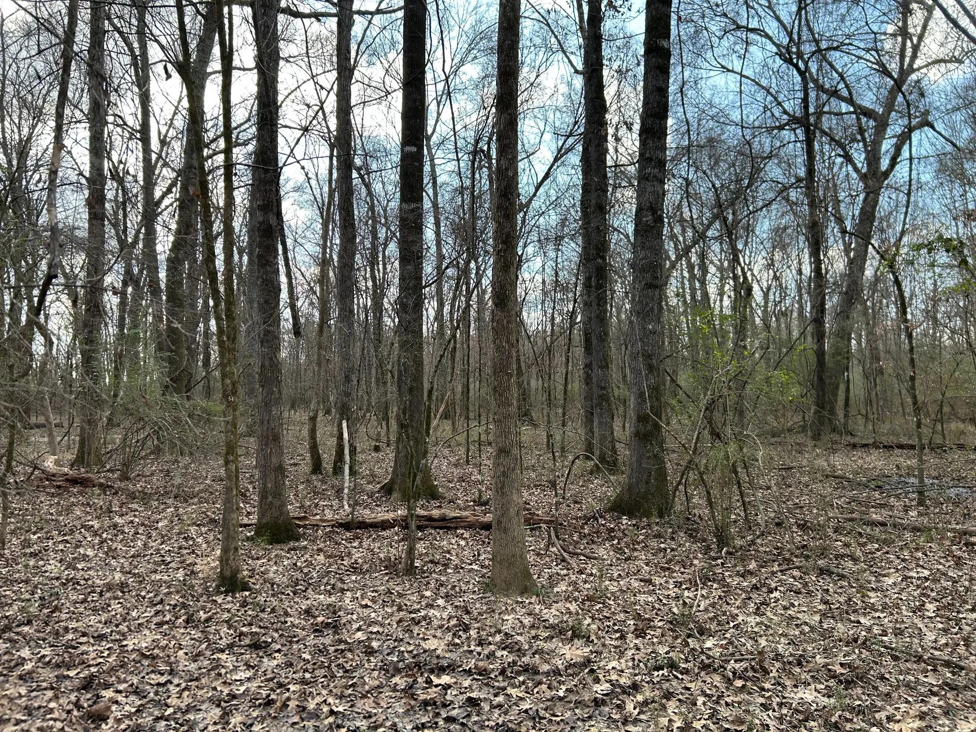 27608858-13