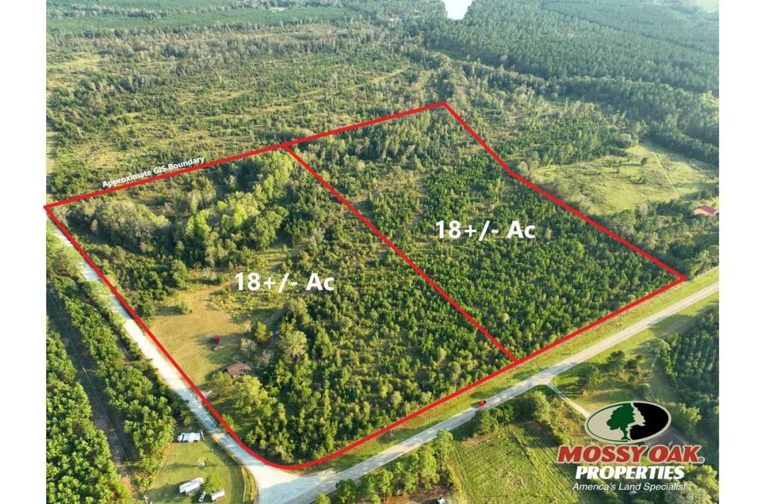 18 +/- Ac Land for Sale Dodge County, GA Tract A