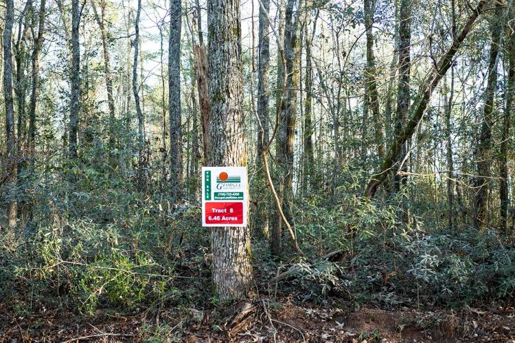 6.46 acres Burke County Tract 8 Farmers Bridge