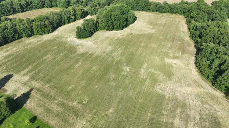 54.00 Acres at 3008 State Route 222
