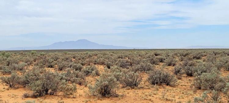 5 Acres of Wide-Open spaces * New Mexico Land * OWF