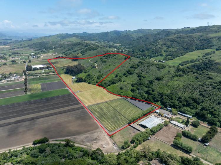 Mello Ranch