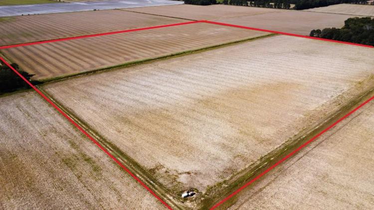 Butler County Missouri Row Crop and Hunting Land for sale