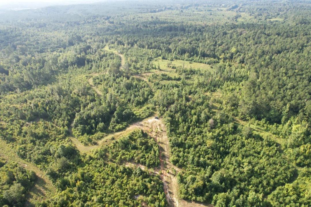 43 Acres in Attala County, MS 