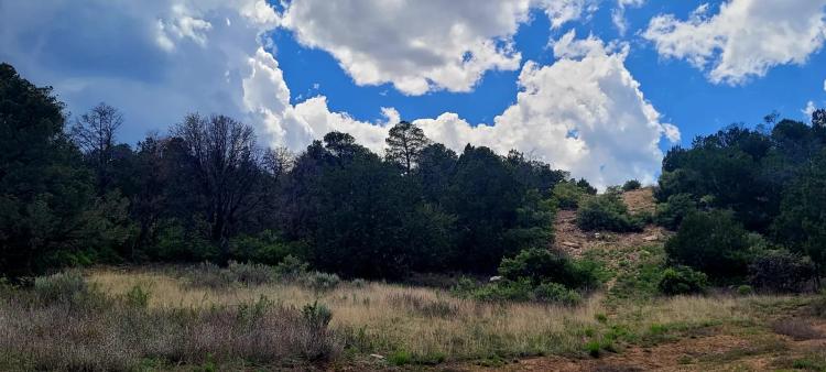 Bella Vista Estates - Heavily Wooded View Lot