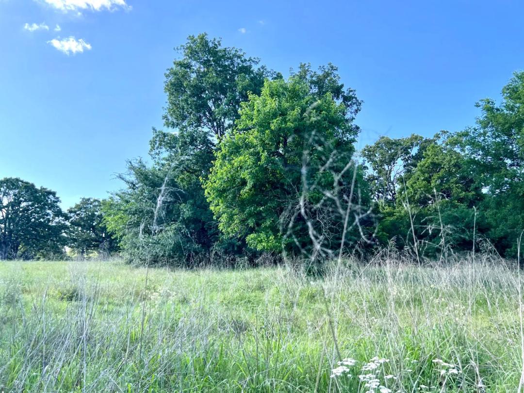 Create your retreat in this secluded setting!