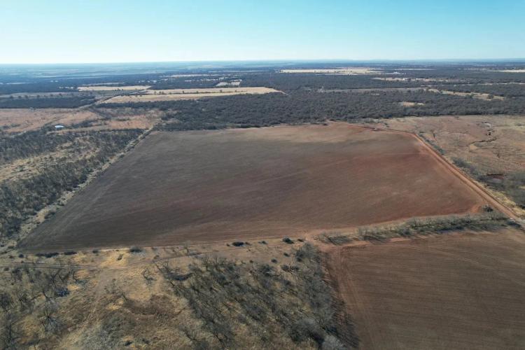 17+/- Acres, Jones County (Tract 8)