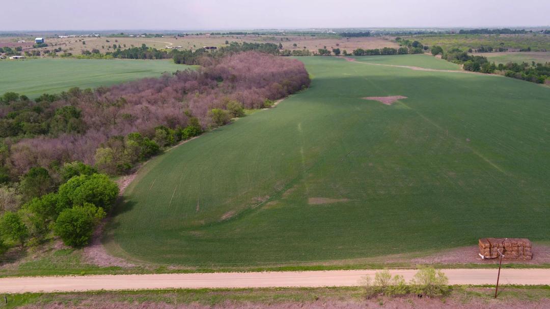 6 Acres in Milam County