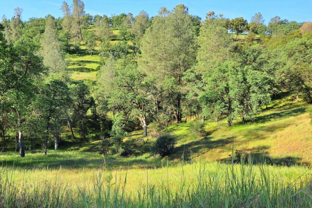 Sierra Vista Estate