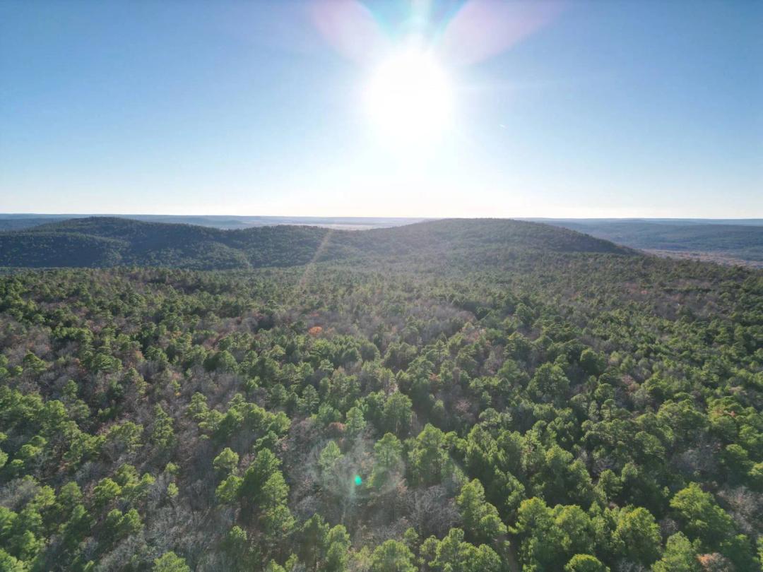 9.85 ACRES MOUNTAIN LAND DAISY OKLAHOMA FOR SALE