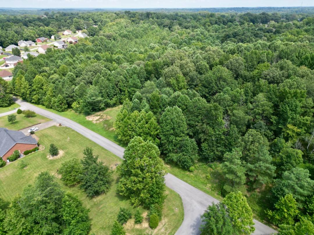 28.8 +/- Acres Land in Central City, Kentucky!